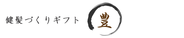 健髪づくりギフト(豊)