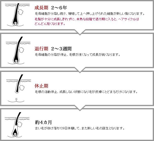 EFG説明