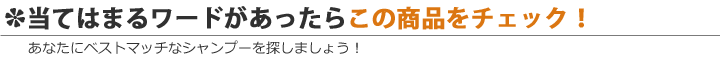 当てはまったらこの商品をチェック